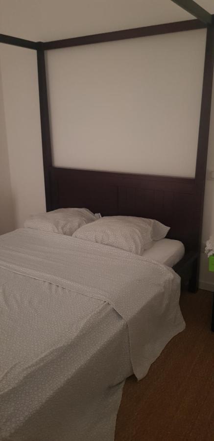 Centre Ville Le Puy-En-Velay Au 1Er Etage Zewnętrze zdjęcie